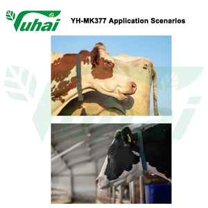 Collier de bétail Hemoton Courroie de cou de vache réglable en coton/collier de bétail - Product Image 5