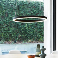 Iralan — lustre LED classique personnalisé, luminaire d'intérieur en métal, en forme d'anneau, en acrylique, design moderne, offre spéciale, E222
