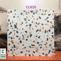 Vinci — carreaux de sol antidérapants, 600x600mm, de faible absorption d'eau, rustique, mat, pour jardin