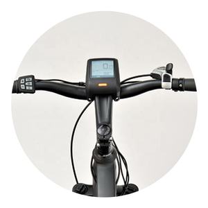 Longue portée <span class=keywords><strong>29</strong></span> <span class=keywords><strong>pouces</strong></span> 48v 350w mi moteur Double batterie <span class=keywords><strong>vtt</strong></span> montagne <span class=keywords><strong>vélo</strong></span> <span class=keywords><strong>électrique</strong></span> <span class=keywords><strong>vélo</strong></span> <span class=keywords><strong>électrique</strong></span> Ebike - Product Image 6