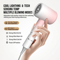 Mini sèche-cheveux 345g ultra léger, contrôle intelligent de la température NTC, faible bruit, air froid et chaud, sèche-cheveux compact de voyage, CE RoHS