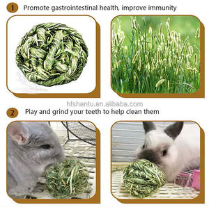 Timothy çim tavşan çiğnemek topu çim taşlama oyna Chew oyuncaklar tavşanı tavşan Hamster gine domuzlar Gerbils - Product Image 6