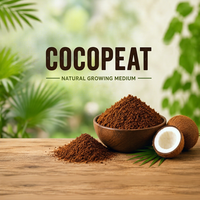 En gros, tourbe de coco naturelle lavée et tamisée en sac PP, conditionneur de sol pour jardinage, pépinière et agriculture, EC 0.5 Tan Hoi