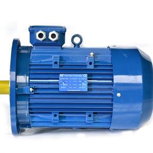 มอเตอร์ไฟฟ้ากระแสสลับสามเฟสหลายความเร็ว HMTD รุ่น 132S - Product Image 1