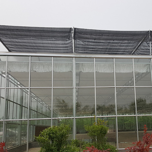 Invernadero de vidrio de invernadero vegetal de alta calidad de China con cultivo hidropónico para <span class=keywords><strong>verduras</strong></span> y flores al mejor precio - Product Image 5
