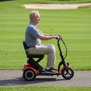 Trottinettes portables auto-équilibrées robustes avec accé<span class=keywords><strong>l</strong></span>ération fluide pour les trajets en banlieue et <span class=keywords><strong>sur</strong></span> les terrains de golf - Product Image 4