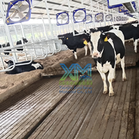Système de ramassage automatique de fumier à chaînes Dairy Barn Alley Scraper pour l'élevage bovin et la gestion des déchets dans les bâtiments laitiers