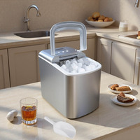Machine à glaçons électrique 9 têtes, spécifications américaines, appareil domestique autonettoyant pour glaçons ronds, capacité 2,1 L, puissance 120 W