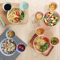 Personnalisation du logo OEM ODM, assiette pour bébé en paille de blé, écologique, non toxique, motif animal, bol biodégradable, ensemble de vaisselle pour enfants