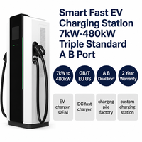 Station de recharge rapide intelligente Wanbo-556 pour véhicules électriques 7kW-480kW, borne de recharge double port GB/T EU US