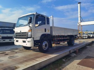 HOWO ánh sáng nhiệm vụ xe tải nhỏ xe tải chở hàng nhỏ 4x2 DIESEL xe tải Euro 2 1-10ton xe tải chở hàng nhẹ để bán - Product Image 2