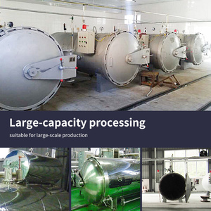 袋装咖喱/袋装辣酱干馏消毒机 - Product Image 4