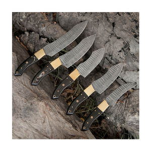 Juego de cuchillos de cocina de acero de Damasco de primera calidad, cuchillas hechas a mano, marca personalizada para escuelas culinarias y hoteles - Product Image 1