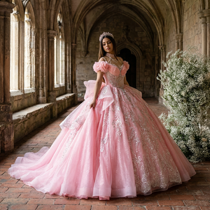 Magníficos Vestidos de Novia Modernos Rosados de Manga Larga con Cola Capilla, Escote Corazón, Espalda Descubierta, Adornados con Cuentas, Estilo Princesa, Personalizados - Product Image 1