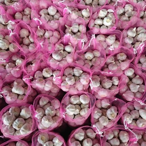 Ajo Fresco, Ail Fresco, Alho Fresco, Ajo Blanco Fresco, Ail Fresco Liliáceo, Precio al por Mayor, Marca Óptima - Product Image 3