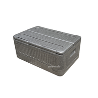Glacière isotherme 40L moderne en mousse EPP, étanche, pour le transport alimentaire, camping en extérieur, sud-est