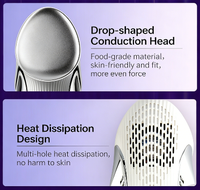 Appareil de refroidissement facial à usage domestique, usine ODM, compresse chaude et froide, instrument de massage beauté pour rajeunissement de la peau