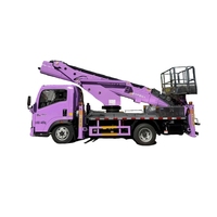 Vente à durée limitée Sinotruk Howo 33 mètres de haut diesel violet 4x2 4x4 Mini monstre flèche télescopique camion de travail aérien