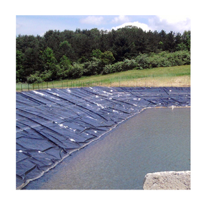 Vente d'usine de géomembrane standard CE Feuille de géomembrane PE-HD Grands étangs à poissons en plastique Réservoir agricole - Product Image 6