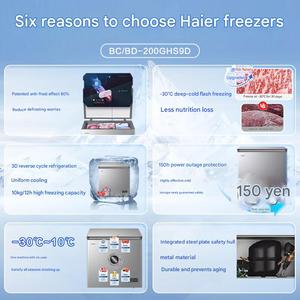 Congélateur domestique à compresseur électrique Haier 201L, classe énergétique A, capacité de congélation de 10 kg/12h pour la crème glacée, l'hôtel, l'extérieur - Product Image 6
