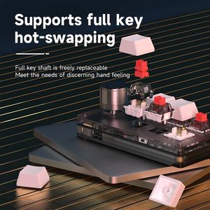 Mini Custom Tastatur USB-C 2.4G Wireless Programmier bar 12 Tasten 2 Knöpfe Multimedia LED Licht Mechanische Hot Swap Tastatur - Product Image 4