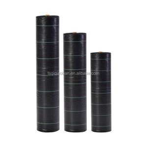 Woven PE Geotextile <strong>Grass</strong> <strong>Seed</strong> <strong>Mats</strong> Rotational Molding Durable Weeding <strong>Mat</strong> <strong>for</strong> Fabric Resistant Overgrown <strong>Grass</strong> - Product Image 1