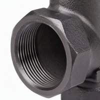 Vanne à soupape en acier forgé 2 pouces NPT A105 300 PSI avec volant fileté pour pipeline de vapeur