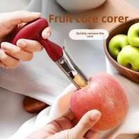 Éplucheur manuel en acier inoxydable pour fruits, extracteur de pulpe et séparateur de pépins