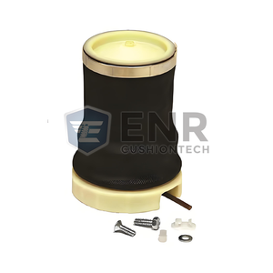 OE No. 5001836461 <span class=keywords><strong>serie</strong></span> autocarri ammortizzatori Cici prezzo di fabbrica pezzo di ricambio Kit parti originali per RENAUL T - Product Image 4