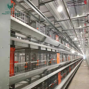 กรงเลี้ยงสัตว์ไก่แบบ H กรงแบตเตอรี่อัตโนมัติอุปกรณ์เลี้ยงสัตว์ปีก - Product Image 4