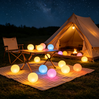 Lampe LED décorative en forme de boule avec télécommande, changement de couleur, étanche IP65, pour intérieur et extérieur, idéale pour les festivals et la décoration quotidienne.
