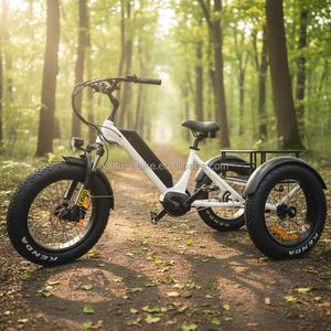 Prix d'usine OEM <span class=keywords><strong>Vélo</strong></span> <span class=keywords><strong>électrique</strong></span> à 3 roues Tricycle <span class=keywords><strong>électrique</strong></span> 500w <span class=keywords><strong>Vélo</strong></span> <span class=keywords><strong>cargo</strong></span> <span class=keywords><strong>électrique</strong></span> pour adultes <span class=keywords><strong>Vélo</strong></span> de livraison <span class=keywords><strong>avec</strong></span> <span class=keywords><strong>assistance</strong></span> au pédalage - Product Image 5