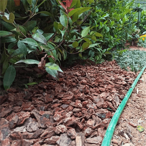 Polissage organique écorce de pin décoration de jardin copeaux de <span class=keywords><strong>bois</strong></span> fragmentés pour l'aménagement extérieur surface de magasin d'écorce sèche colorée - Product Image 5