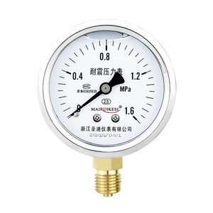Suministramos manómetros de presión de aceite de silicona de alta precisión, manómetros de presión hidráulica de acero inoxidable YN60, manómetros de presión de aire M14*1.5 - Product Image 2