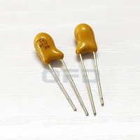 T356G106K035AT 10uF ± 10% Condensateur au tantale 35V Trou traversant Composants électroniques Condensateur au tantale T356G106K035AT