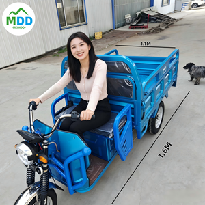 รถ<span class=keywords><strong>สามล้อ</strong></span><span class=keywords><strong>ไฟฟ้า</strong></span>ขายดีที่สุด 1000W - Product Image 1