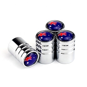 Bouchons de Valve de pneu de voiture en métal chromés couvercles de Valve de tige d'air universels avec Logo personnalisé, joint torique en caoutchouc - Product Image 3