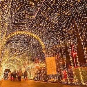 Colorful Ip65 Led <b>Tunnel</b> <b>Light</b> For Outdoor Christmas And Holiday Decoration In Garden & Park - Product Image 5