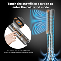 Multi-styler 2-en-1 1400W : Sèche-cheveux et lisseur à air chaud pour cheveux humides et secs