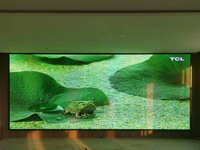Pantalla LED para Interiores con CMS Integrado, Frecuencia de Actualización de 3840Hz, Garantía de 2 Años