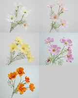 Bunga Daisy Buatan 6 Tangkai Kecil Segar Alami, Kain Sutra Buatan Tangan, Gerbera Palsu, Dekorasi Pernikahan, Rangkaian Bunga