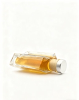 Bouteille en verre carrée de haute qualité de 100 ml avec couvercle pour diffuseur à bâtonnets, huiles essentielles et parfums – Marquage à chaud disponible