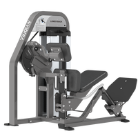 YINQIAN NT09 Lower Back Nitro Plus 2025 – Nouveauté : Appareil de musculation commercial à entraînement par courroie pour le bas du dos