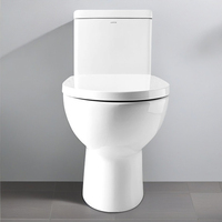 Flecha Diseño moderno Inodoro de cerámica de una pieza Doble descarga S-Trap 300mm Sifón montado en el piso Jet Flushing Baño Sanitario Ware