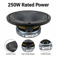 Altavoz PA Profesional de 10 Pulgadas, 250W RMS, Bobina de Voz de 65mm, Imán de 170mm, Woofer de Alta Sensibilidad para KTV, Escenarios, Clubes, Audio, Venta al Por Mayor