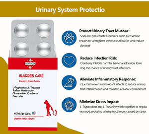 ODM OEM naturale estratto di mirtillo rosso <span class=keywords><strong>compresse</strong></span> per cani e gatti vescica integratore - Product Image 4