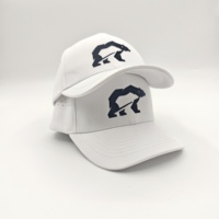 Casquette de baseball sportive haut de gamme en polyester/coton à 6 panneaux, couleur unie, réglable, avec logo personnalisé pour équipe de golf, motif Dobby Dot