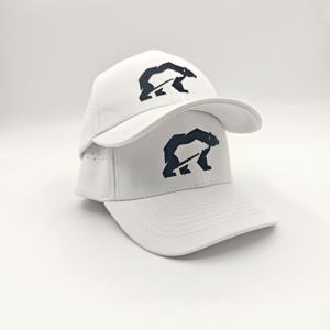 Gorra de Béisbol Deportiva de Alta Gama, 6 Paneles, Color Sólido, Ajustable, con Logotipo Personalizado, para Club de Golf, Bordada - Product Image 2