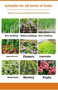 Fertilizante orgánico de proteína de pescado Enraizamiento y resistencia al estrés - Product Image 4