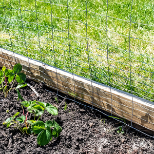 Malla de Alambre Soldada Recubierta de PVC Directo de Fábrica, Rollo de Malla de Alambre de Hierro Galvanizado para Jaulas de Aves de Corral, Jardines y Cercas - Product Image 4